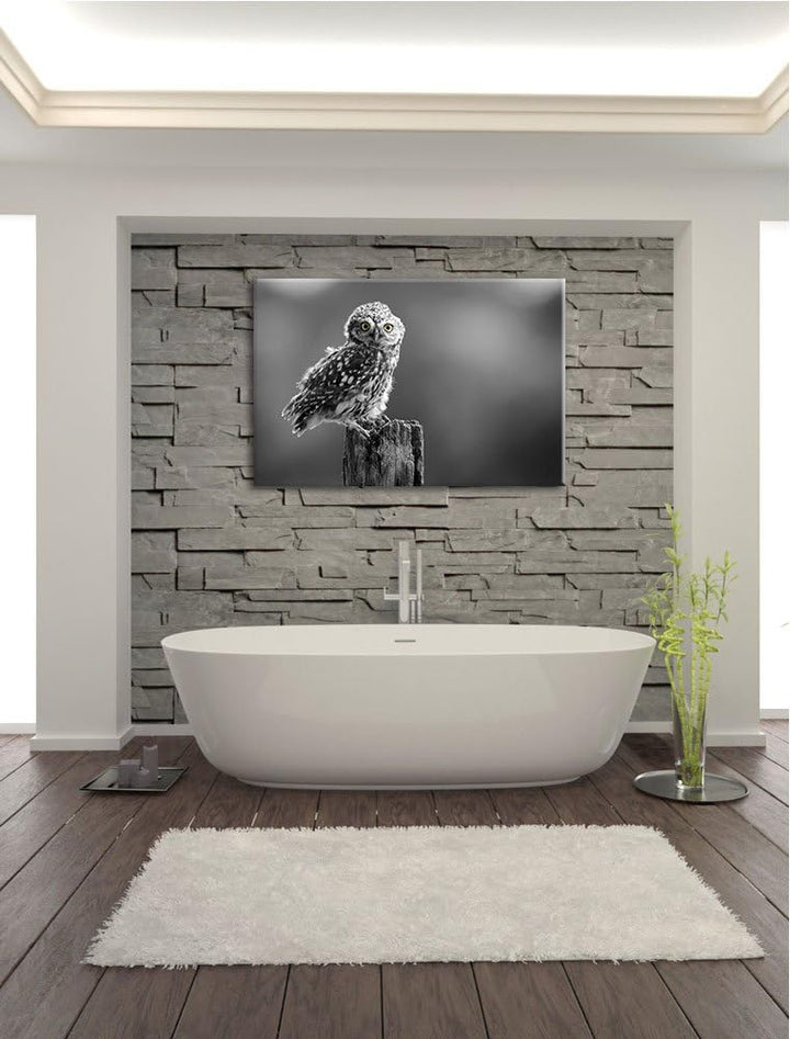 lustige Eule auf Baumstumpf schwarz/weiss Format: 100x70 auf Leinwand, XXL riesige Bilder fertig ger