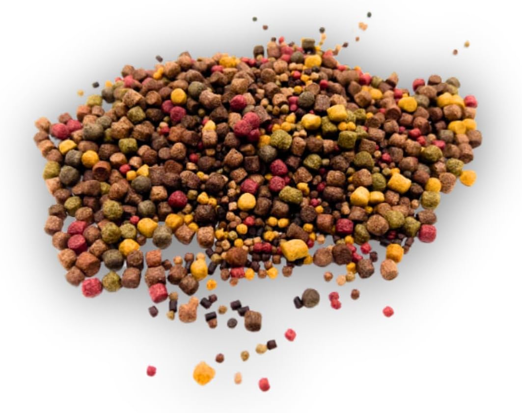 KOI - KOIFUTTER 5-Sorten-Mix 20KG mit Paprika + Spirulina von Warnick´s Tierfutterservice (3-6mm) 20