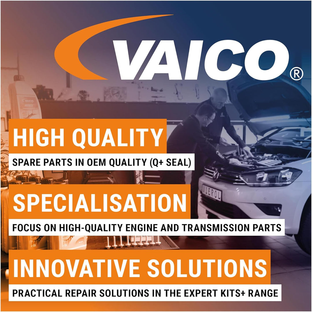 VAICO V25-0791 Teilesatz, Überholung