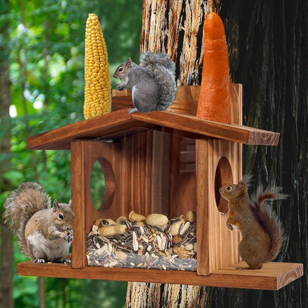 Eichhörnchenfutter, hölzerne Haus geformte Eichhörnchen -Futterhäuschen für aussen, sichtbare Vogelh