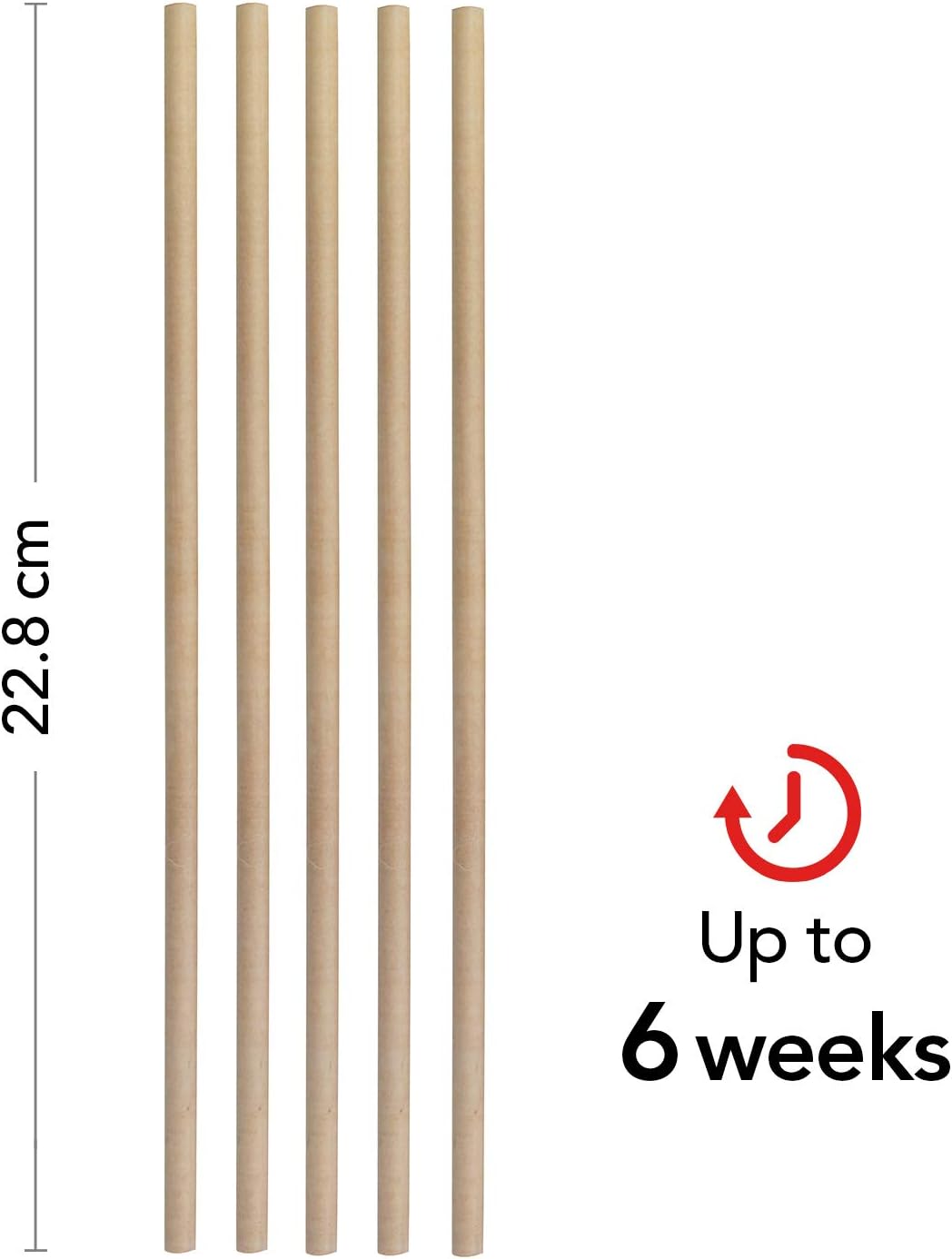 Yankee Candle Reed Diffusor, Starter-Set mit Duftstäbchen, Starter-Set, Black Coconut, Starter-Set