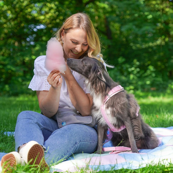 Anny-X Brustgeschirr Fun Zuckerwatte | Hundegeschirr Grösse M (Brustumfang 62-74 cm)