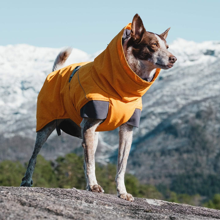 Hurtta Expedition Parka Wintermantel für kleine Hunde, Hundemantel Sanddorn, orange 30XL Sanddorn 30