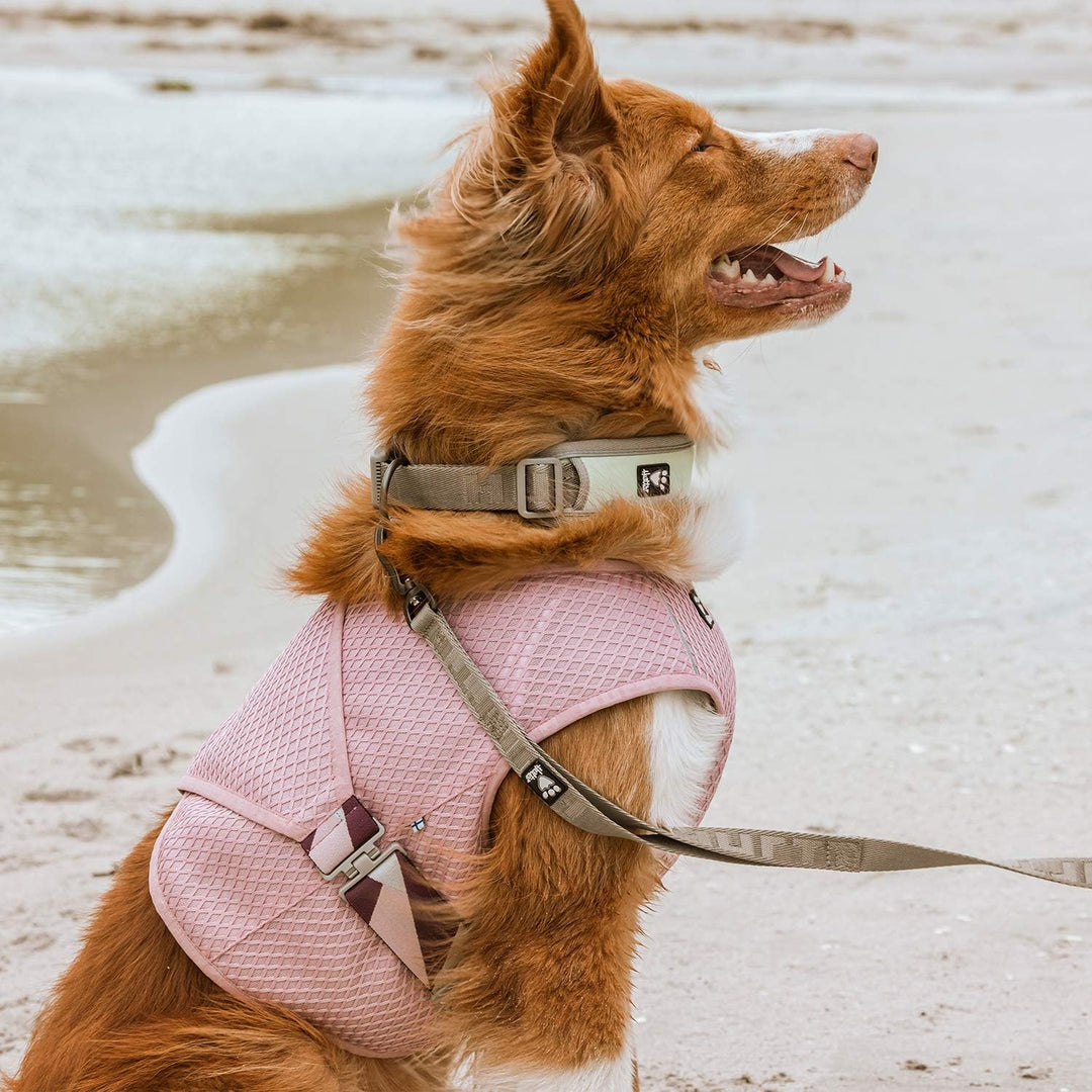 Hurtta Cooling Wrap Kühlweste für Hunde, Kühlweste Sommer Hundejacke, Rosa, 55-65cm Carnation Pink 5