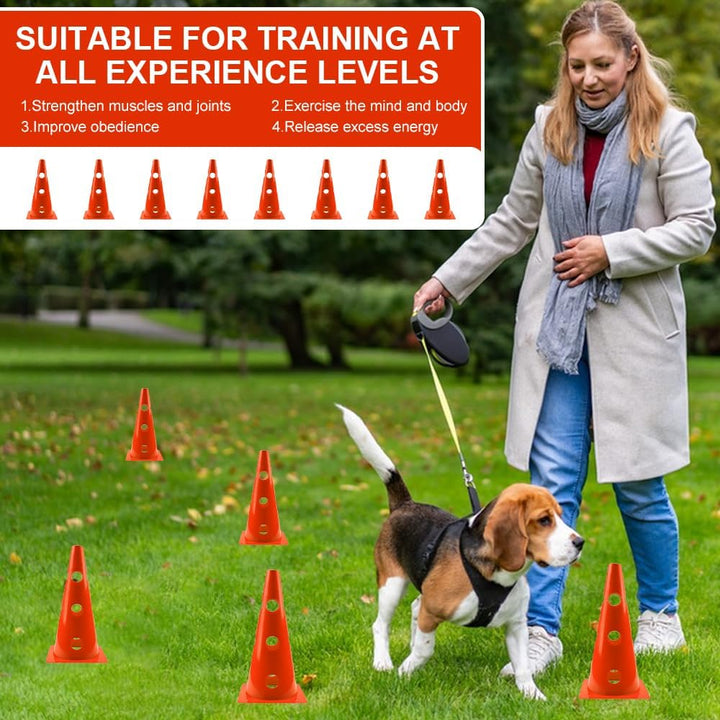 Agility Set Hunde Kinder, Sports Steckhürdenset 8 Kegel 23cm + 4 Stangen 80cm, Agility Koordinations