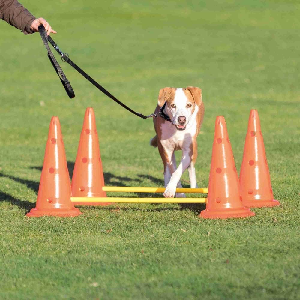 TRIXIE Pylonen-Hindernis-Set - strapazierfähiges Trainingszubehör für Hunde Agility-Training - ø 30