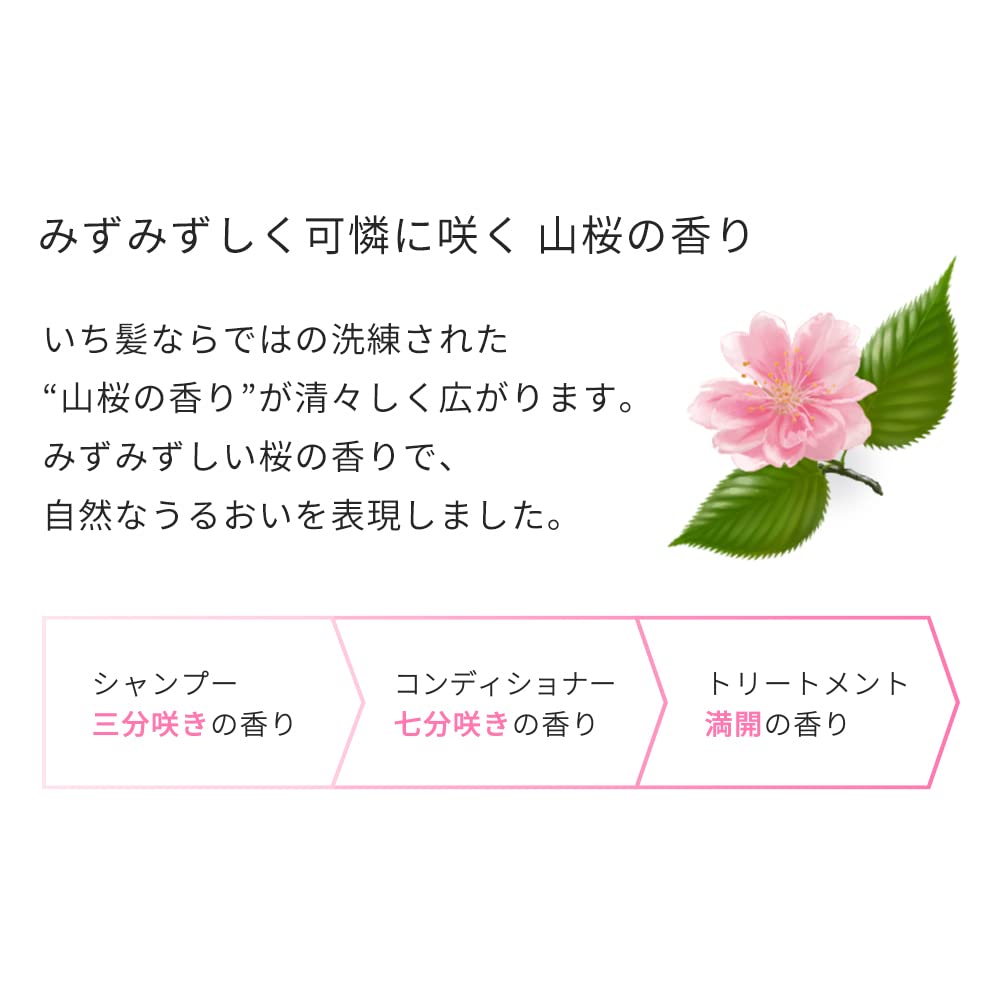 Ichikami Smooth Care Hair Shampoo Pump - 480ml