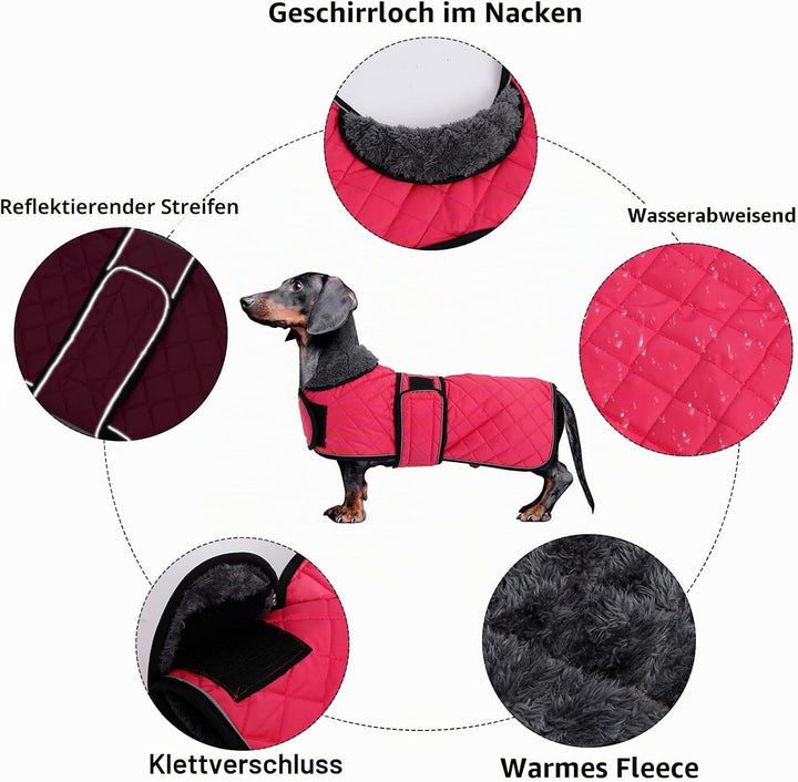 MOREZI Hundemantel Winter für Dackel - Wasserdichter Hunde Pullover mit Wolle Futter & Verstellbaren
