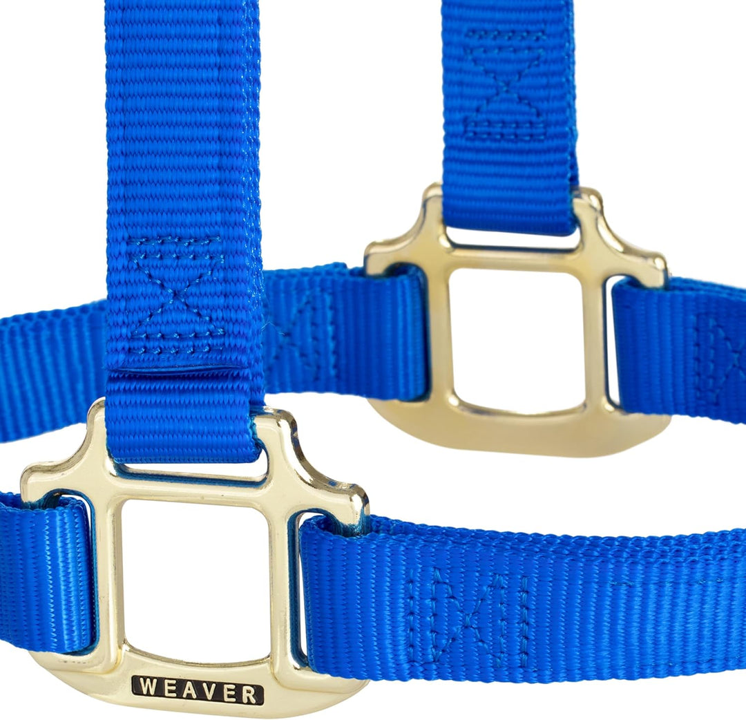 WEAVER Leather, Nicht verstellbares Halfter Blau Average Horse, Blau Average Horse