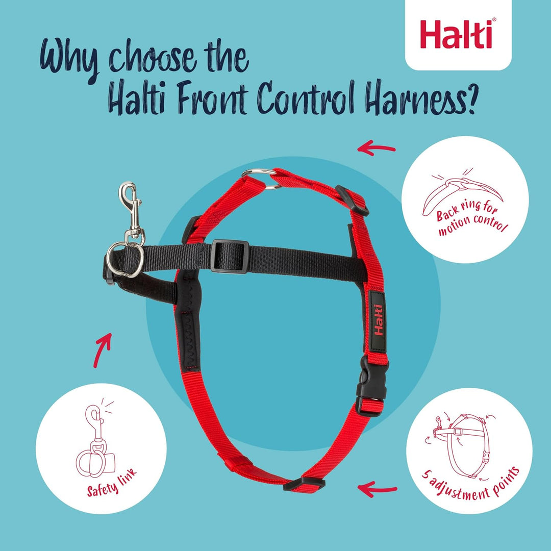 Company of Animals Halti Front Control Gurt und Trainingsleine Kombipackung, Medium Harness, schwarz