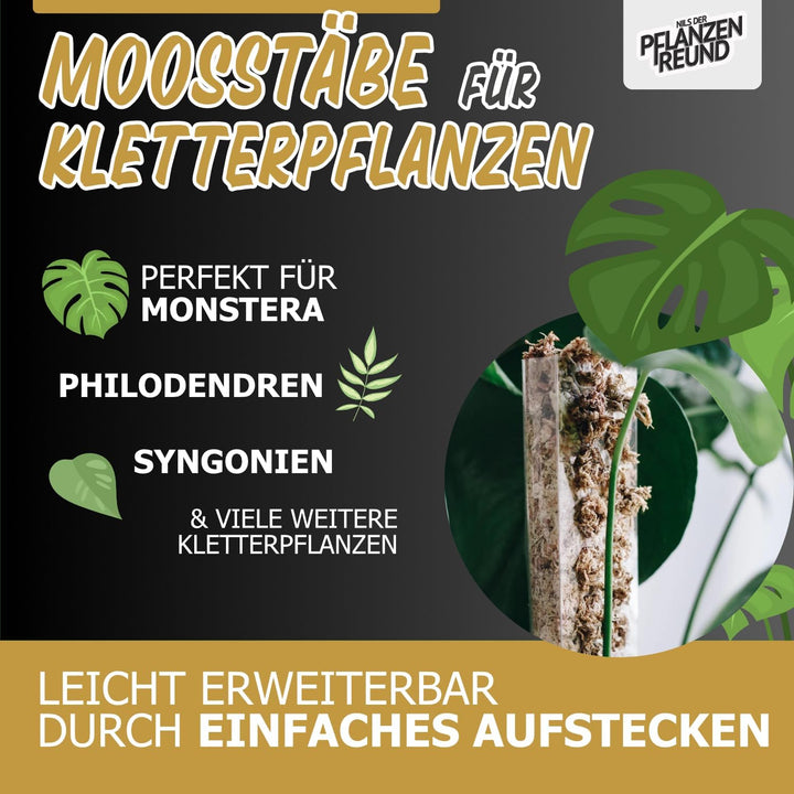 Nils der Pflanzenfreund® Moosstab [PlantScraper] 40 cm (L) / 10 Stück/Matt | Pflanzenstab | Moss Pol