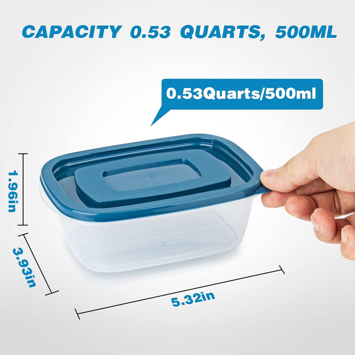EFISH 10PCS Rechteck Kunststoff Portion Box Sets mit Deckel.Food Aufbewahrungsbox, Behälter, Lebensm