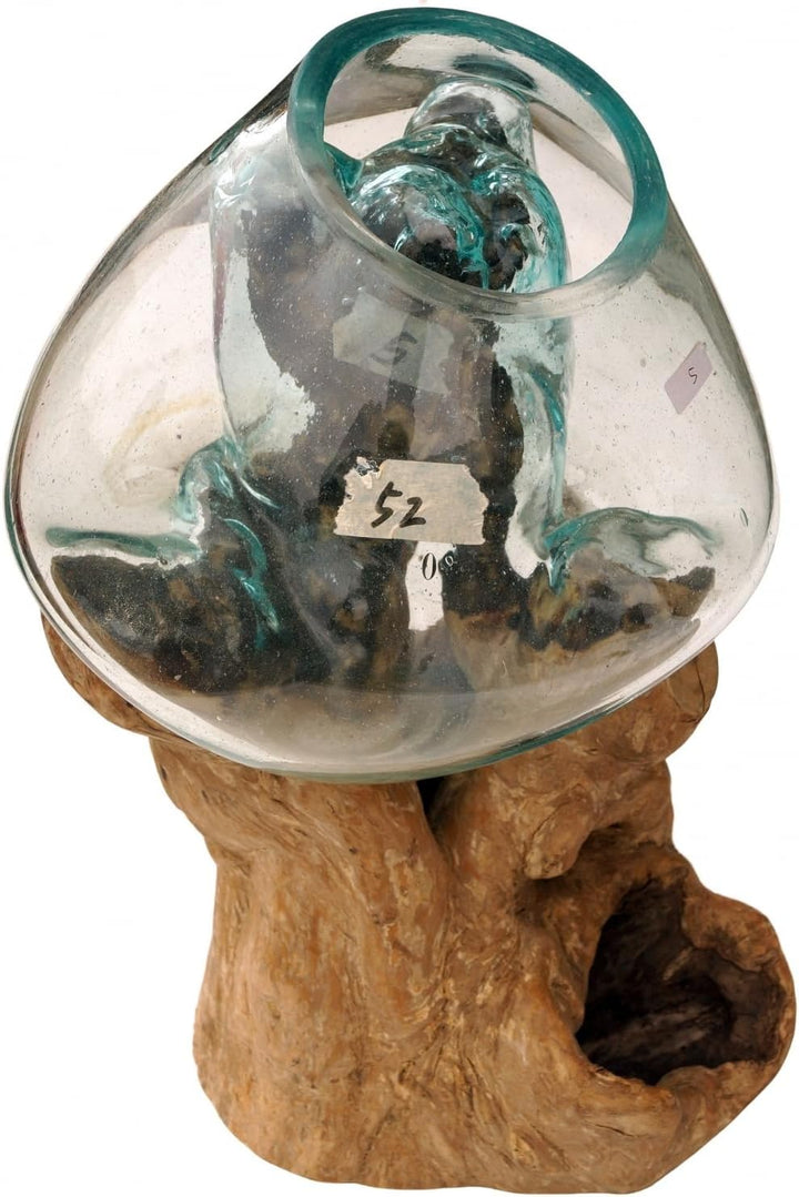 GURU SHOP Wurzelholz Vase - Ø Glas bis 20 cm M1, Braun, Vasen &amp; Blumentöpfe