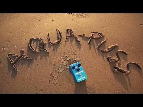 WAY HUGE - Gitarren-Effektgerät Pedal - Delay Aqua-Puss Mini