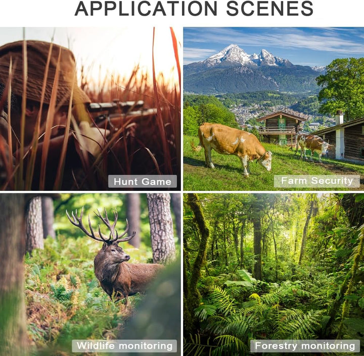 Wildkamera Bewegungsmelder Nachtsicht Wild-Tier-Kamera/Handyübertragung LTE 4G SIM-Karte LIVE APP/Tr