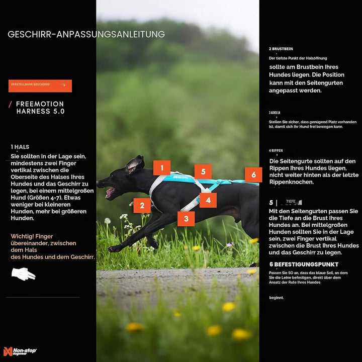 Non-stop dogwear FREEMOTION Harness 5.0 |111| Hundegeschirr für alle Sportarten, Grösse:5, 5