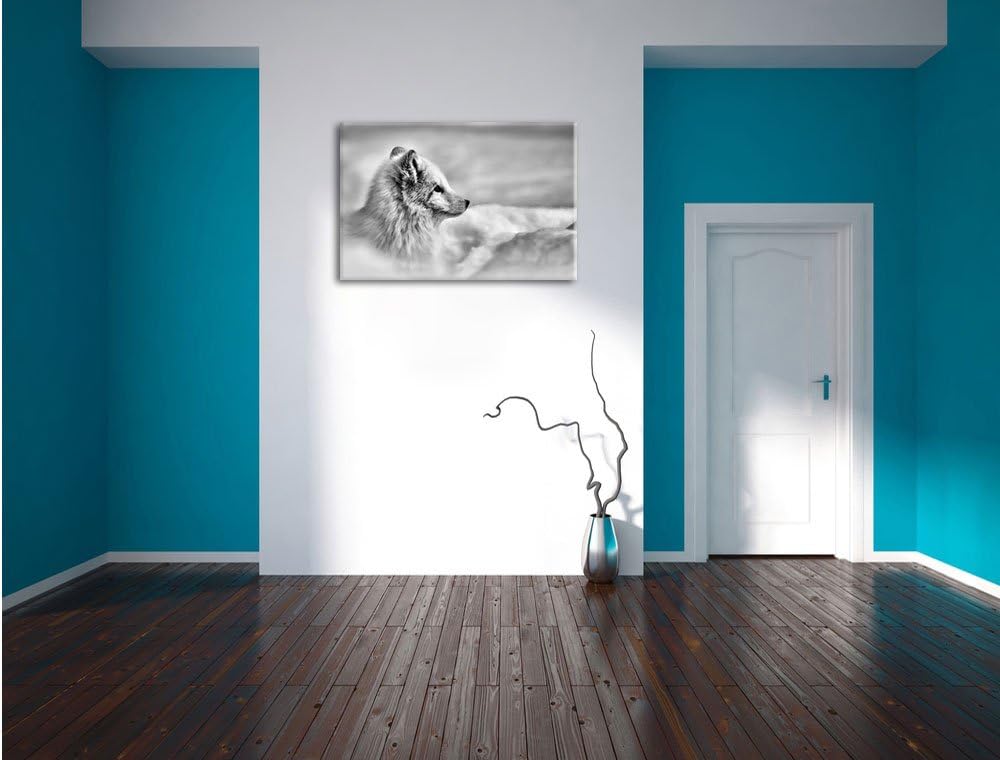 Pixxprint Anmutiger Polarfuchs im Schnee / 100x70cm Leinwandbild bespannt auf Holzrahmen/Wandbild Ku