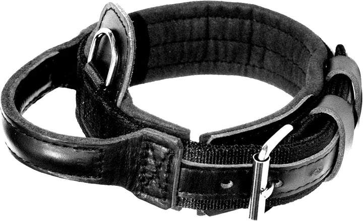 Dingo Gear Halsband für Hund ''Drago'' aus Band Amortisiert Schwarz mit Griff Handgefertigt S04023 4