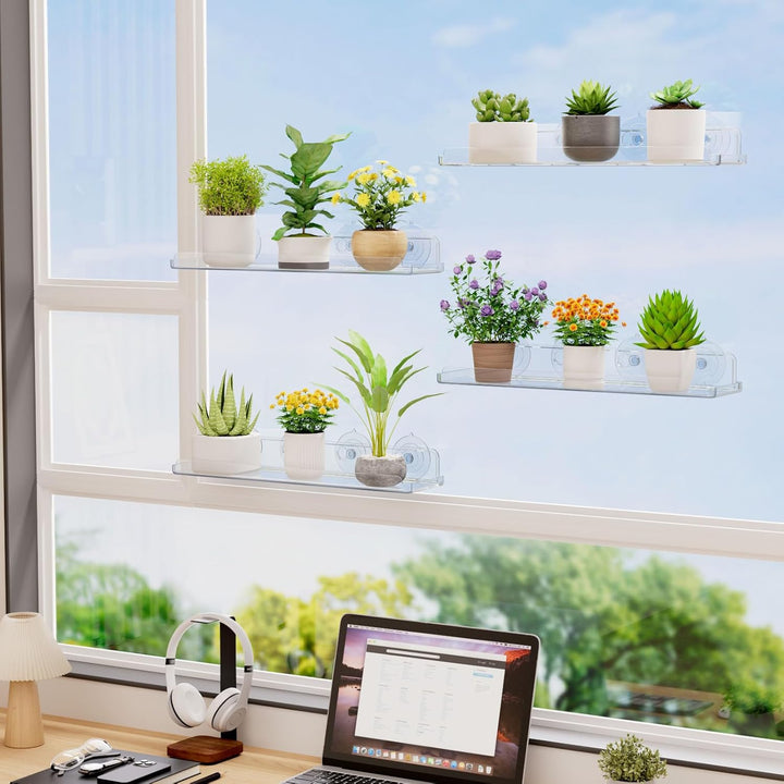 Lifewit Fenster Pflanzenregale, 2 Stück, 38cm, Transparent Regal Saugnapf, Fensterwand-Pflanzenständ