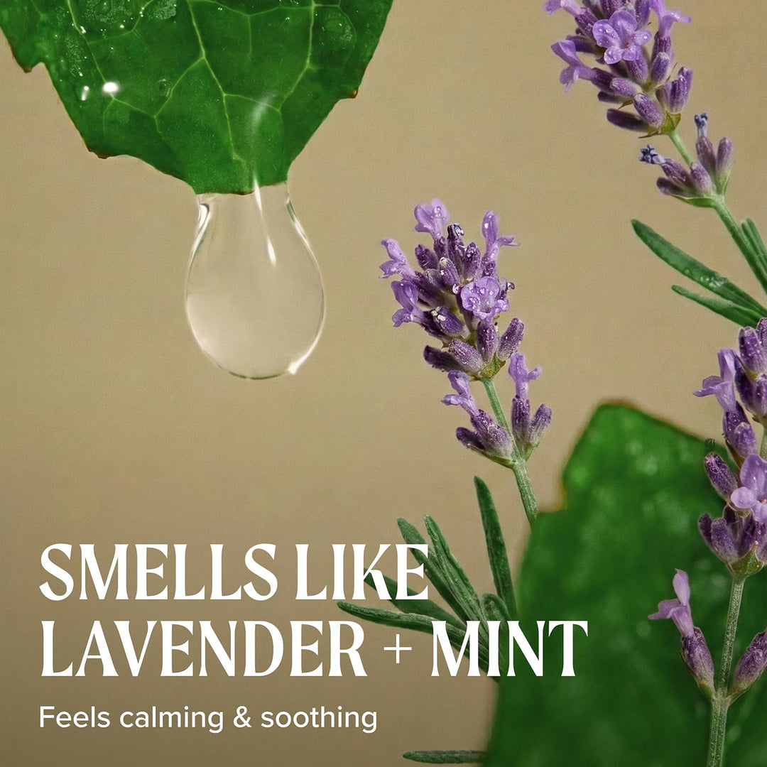 Paul Mitchell Tea Tree Lavender Mint Moisturizing Conditioner - Feuchtigkeits-Conditioner für trocke