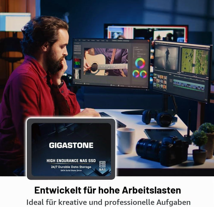 Gigastone NAS SSD 1TB Enterprise SSD Festplatte TLC Hohe Dauerhaltbarkeit Server SSD für 24/7 Dauerb