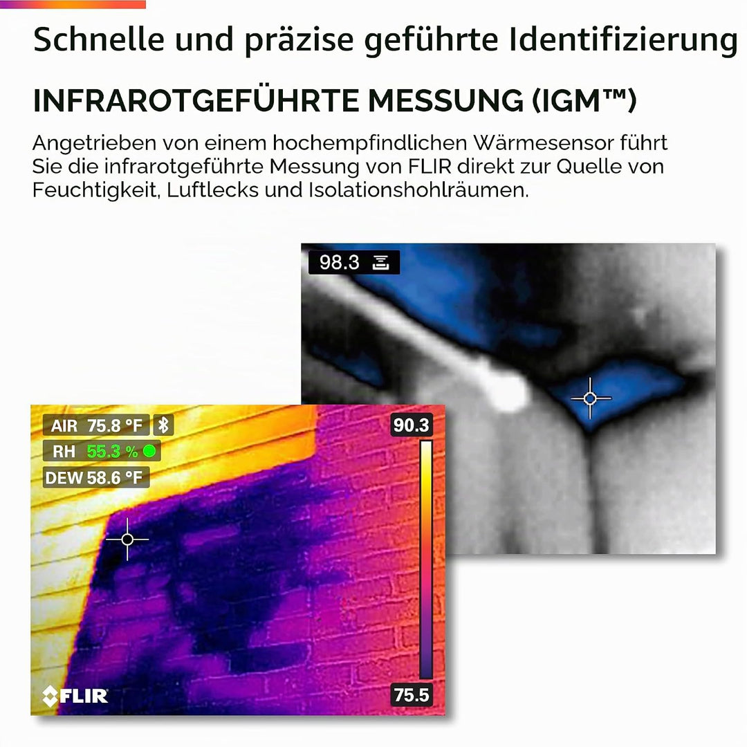FLIR Feuchtigkeitsmessgerät mit integriertem Wärmebilddetektor für Temperatur- und relative Feuchtig