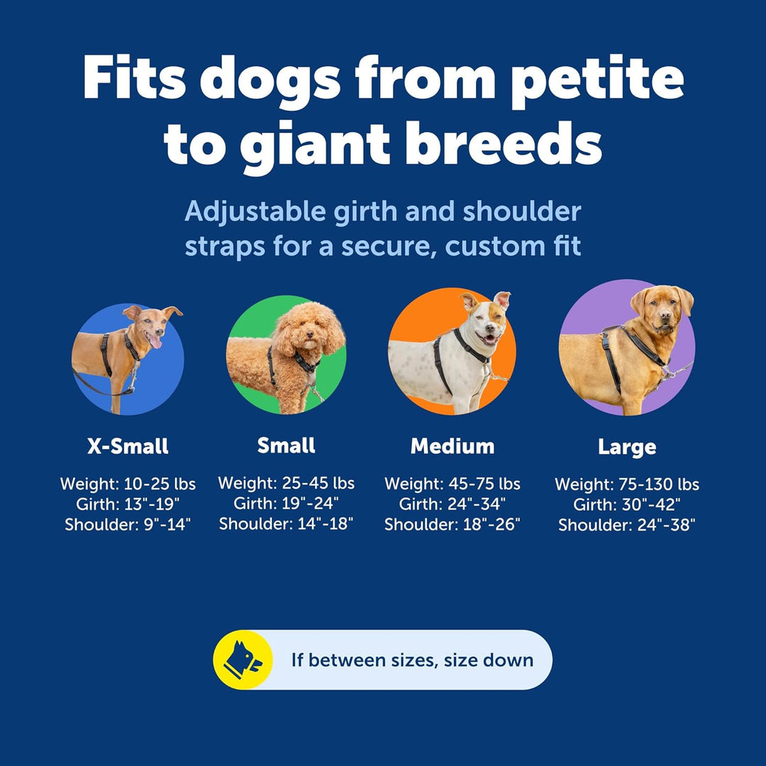 PetSafe 3in1 Harness, from The Makers of The Easy Walk Harness, Fully Adjustable No-Pull Dog Harness
