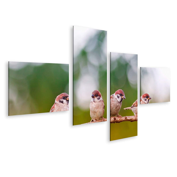 islandburner Bild auf Leinwand Lustige Spatzen Vögel Gruppe Frühling Bilder Wandbilder Poster Leinwa