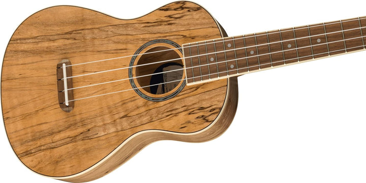 Fender Zuma Exotic Concert Ukulele, Walnut Fingerboard in Spalted Maple