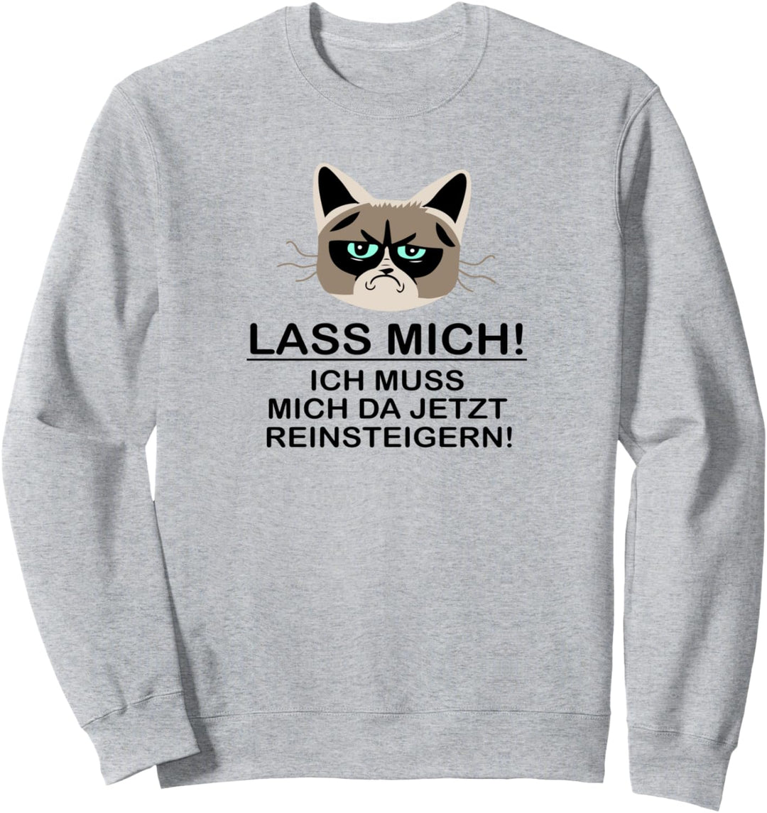 Lass mich in Ruhe ich muss mich da reinsteigern Zicken Sweatshirt