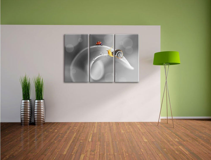 Pixxprint eine Schnecke und Marienkäfer auf Einer Pflanze B&amp;W Detail 3-Teiler Leinwandbild 120x80 Bi