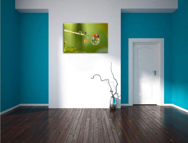 Pixxprint Marienkäfer Wassertropfen als Leinwandbild/Grösse: 100x70 cm/Wandbild/Kunstdruck/fertig be