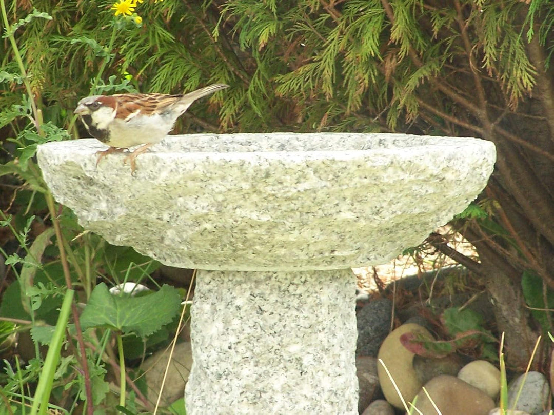 Vogelbad Herz aus Granit (mit 2 Vögele am Rand sitzend), mit 2 Vögele am Rand sitzend