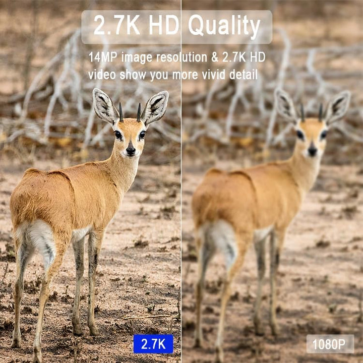 Wildkamera Bewegungsmelder Nachtsicht Wild-Tier-Kamera/Handyübertragung LTE 4G SIM-Karte LIVE APP/Tr