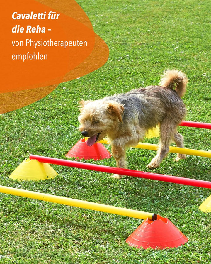 Cavaletti Mini-Hürden 10er Set – Mulden Rot & Stangen Blau – sichere Trainingshürden für Hunde – Agi