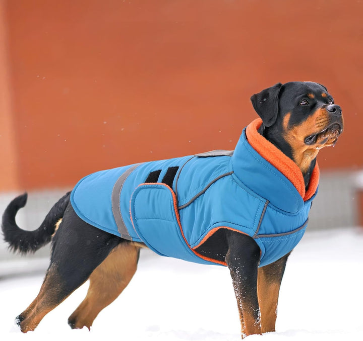 Hundejacke mit Klettverschluss – Reflektierend, Führungsöse & wärmender Kragen – Leichtes Wintercoat