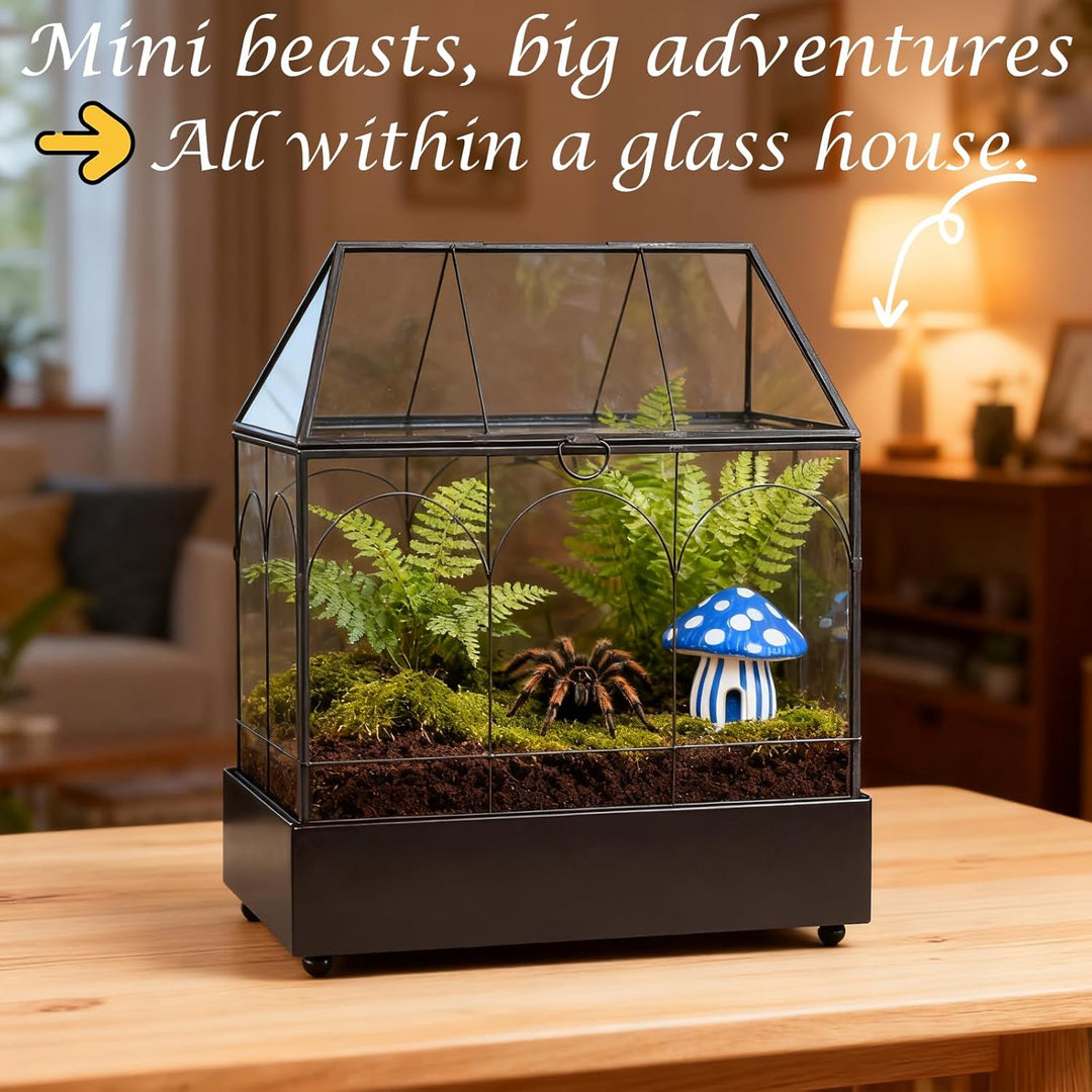 Mini Gewächshaus Fensterbank Glas mit Auffangschale 24,2 x 14,7 x 29 cm Pflanzenterrarium Klein Flas
