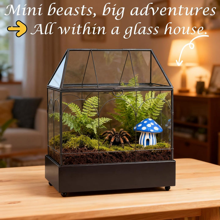 Mini Gewächshaus Fensterbank Glas mit Auffangschale 24,2 x 14,7 x 29 cm Pflanzenterrarium Klein Flas