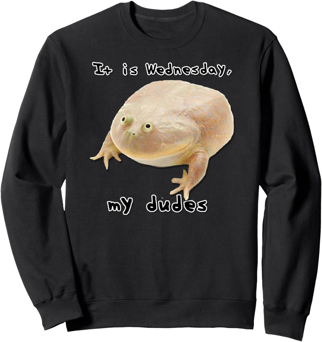 „It is Wednesday My Dudes“ lustiges klassisches Frosch-Meme-Original. Sweatshirt