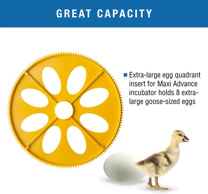 Maxi Advance Inkubator Extra Large Egg Quadrants Insert (8 Gänseeier)
