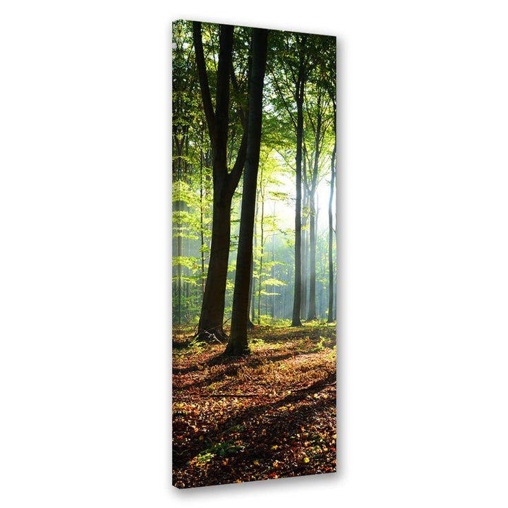 Feeby Vlies Leinwandbild Wald Natur 60x150 cm Wand Bild Kunstdruck Deko Wohnzimmer Wohnungs Deko Son