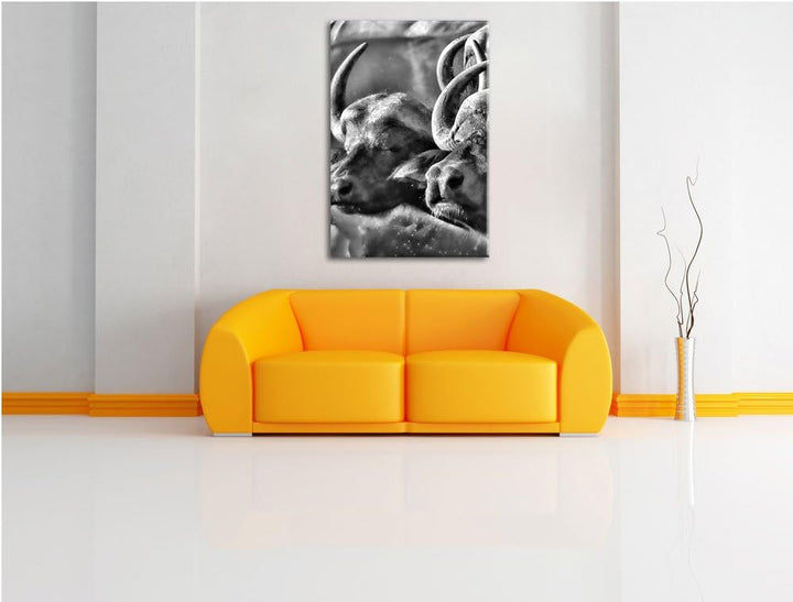 Pixxprint Monocrome, Zwei gemütliche Wasserbüffel, Format: 100x70 auf Leinwand, 100x70