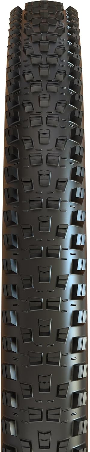 FOREKASTER 2022 Reifen – 29x2,40 – tr. flexibel - 3C Terra / Exo / Tubeless Ready