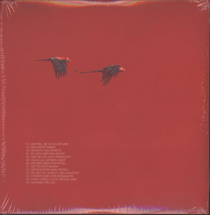 Gottes Synthesizer, Vinyl