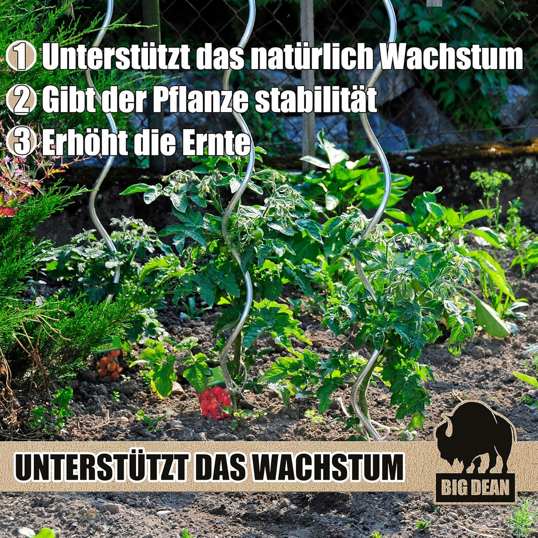 BigDean 10 Tomatenspiralstäbe 110cm voll verzinkt Tomatenstab Tomaten Ranke Pflanzstab Stahl Profi Q