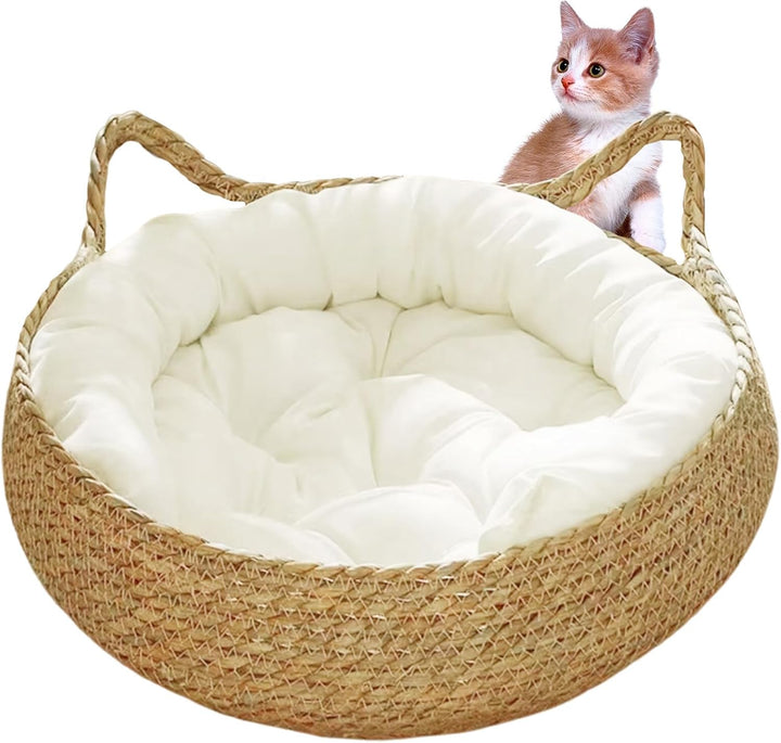 Katzenbett, Katzencouch, Katzenbetten und Möbel, Katzenbetten für Hauskatzen, 38,1 x 12,7 cm, 2-in-1