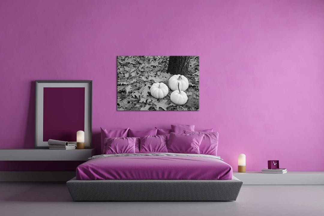 deyoli frische Kürbise Effekt: Schwarz&amp;Weiss Format: 120x80 als Leinwandbild, Motiv fertig gerahmt a