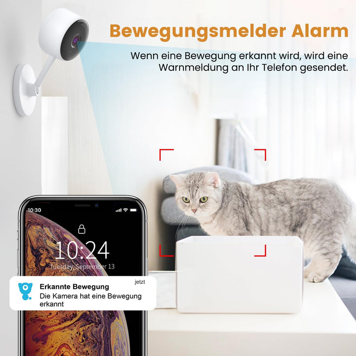 [2022 Neu] Überwachungskamera, Crzwok 1080P 2 Stück Hunde Kamera mit Bewegungserkennung/Nachtsicht/Z