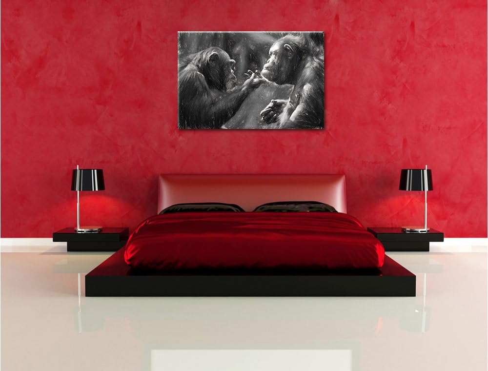 Pixxprint Schimpansen Freundschaft Kunst / 100x70cm Leinwandbild bespannt auf Holzrahmen/Wandbild Ku