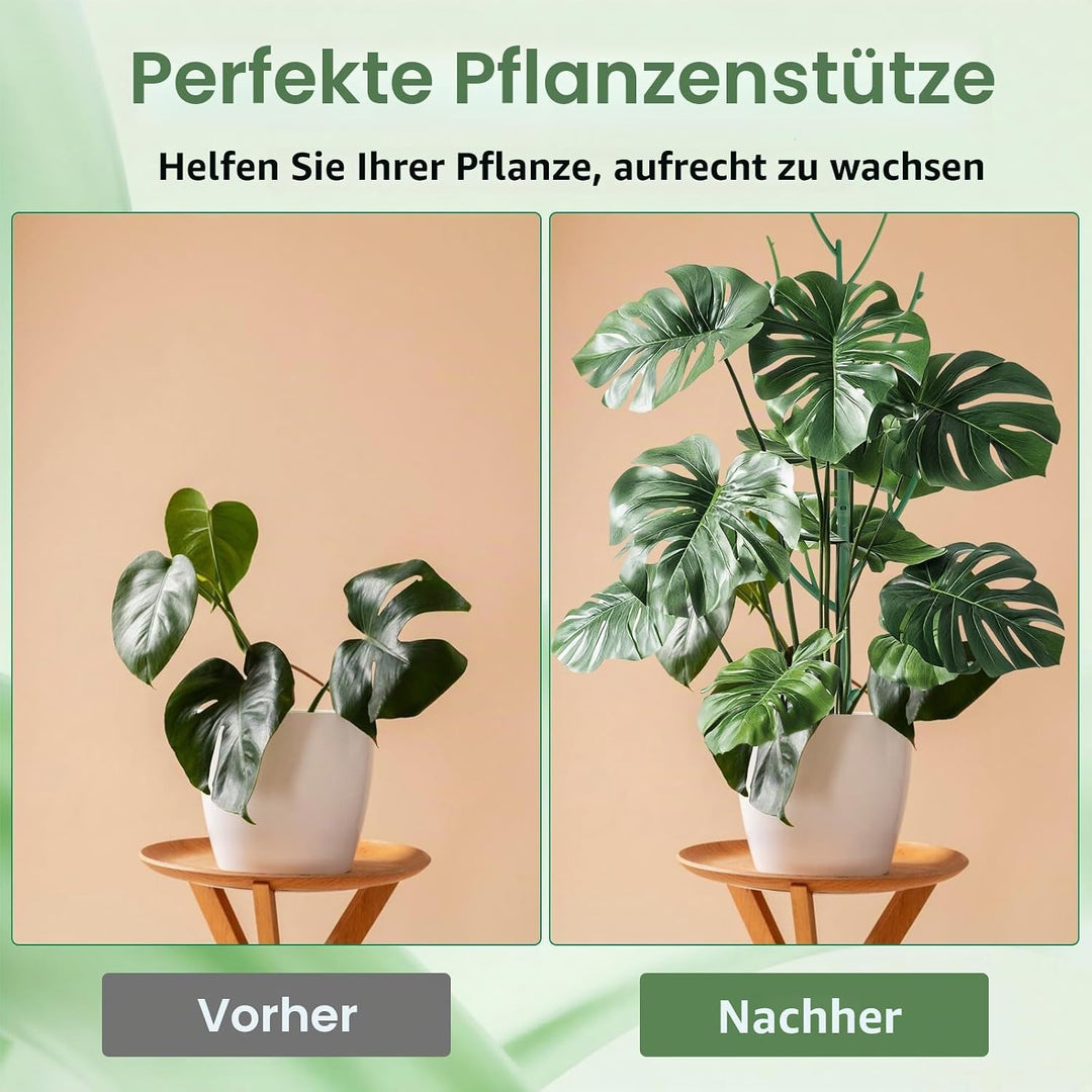 15er-Set stapelbare Pflanzstäbe, höhenverstellbare Monstera-Stützen, Gartenstäbe für Innen- und Auss